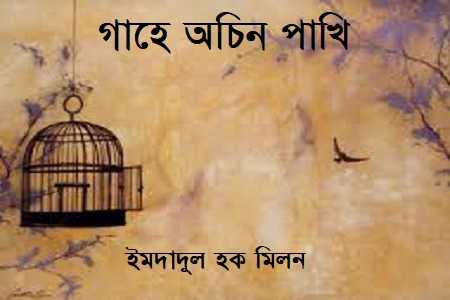গাহে অচিন পাখি